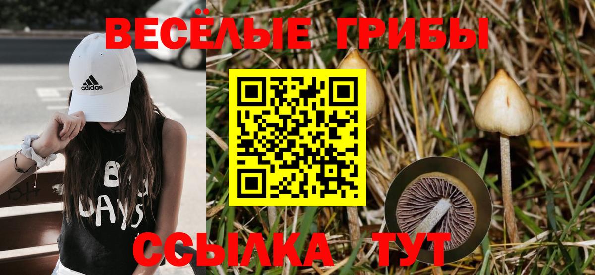 Галлюциногенные грибы MAGIC MUSHROOMS  Вход с VPN  Галлюциногенные грибы ЛСД  Дзержинский 